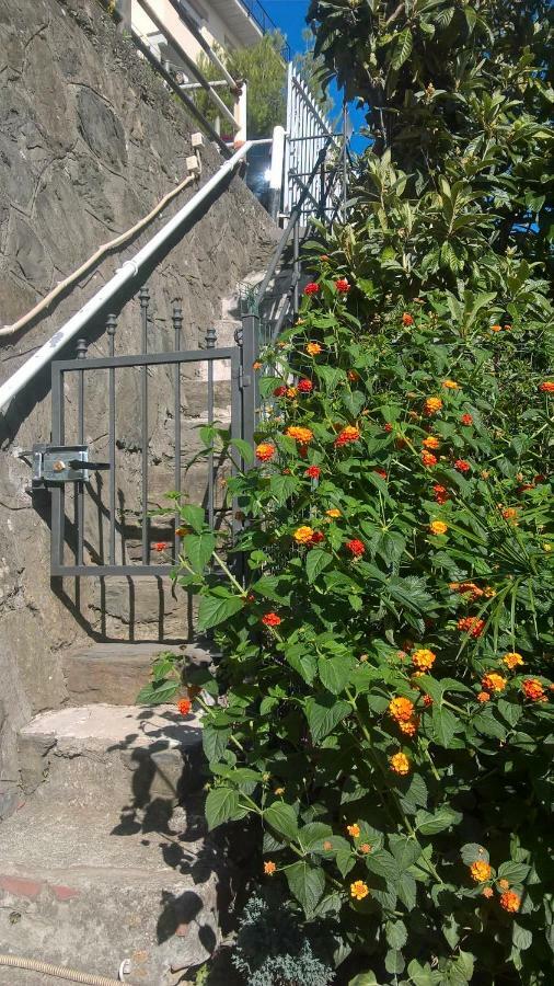Affittacamere Fiorella Riomaggiore Ngoại thất bức ảnh